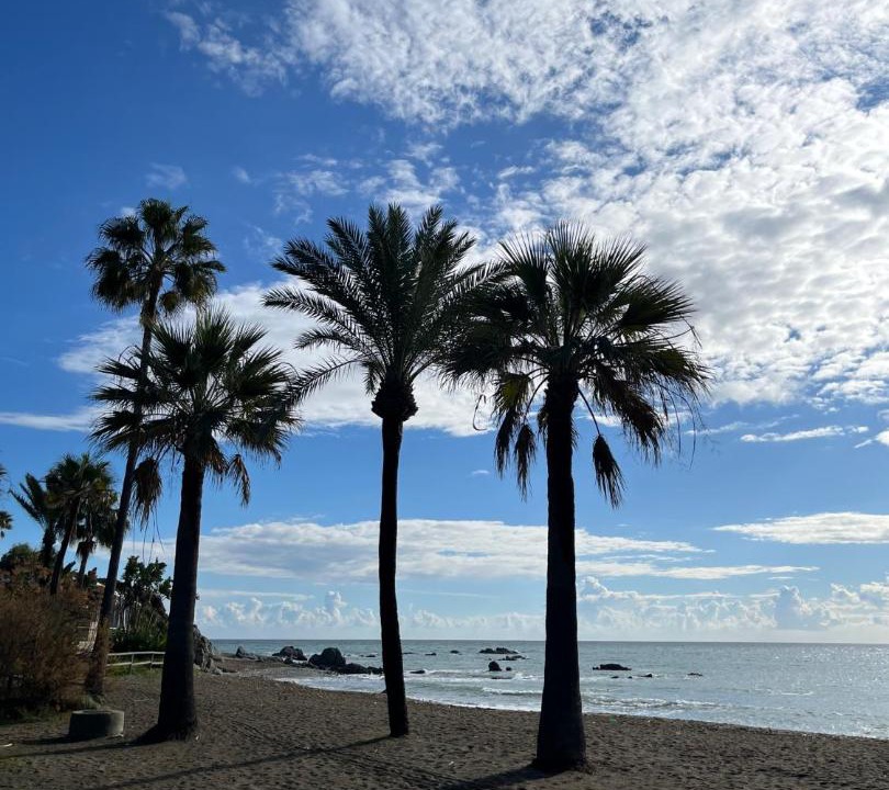 Photo of Others in Casares del Mar