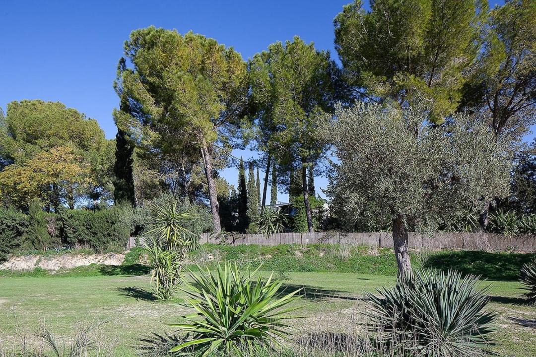 Photo of Others in Espartinas