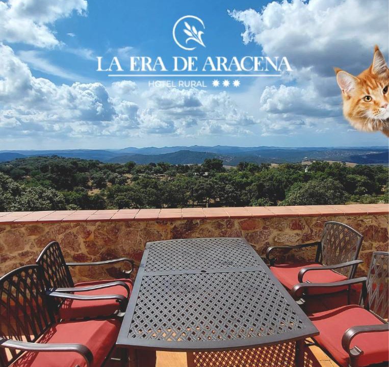 Photo of Patio Balcony in Aracena