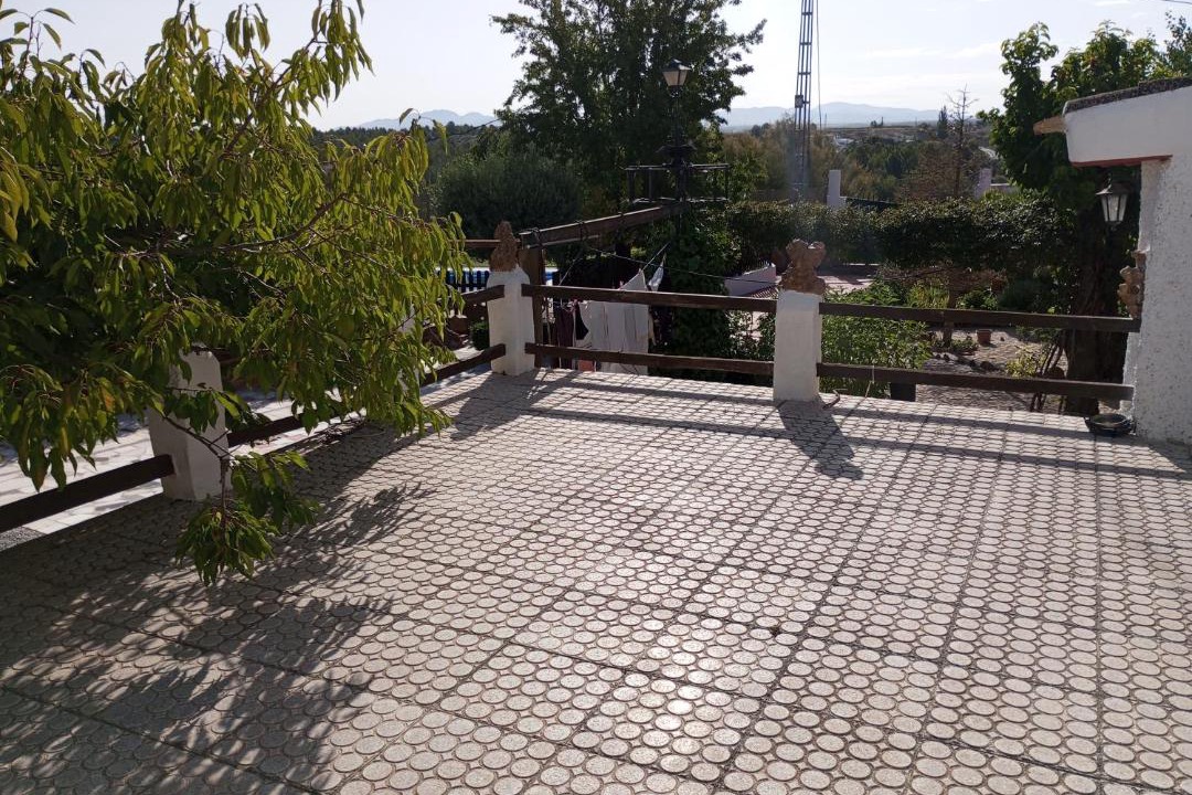 Photo of Others in Baza
