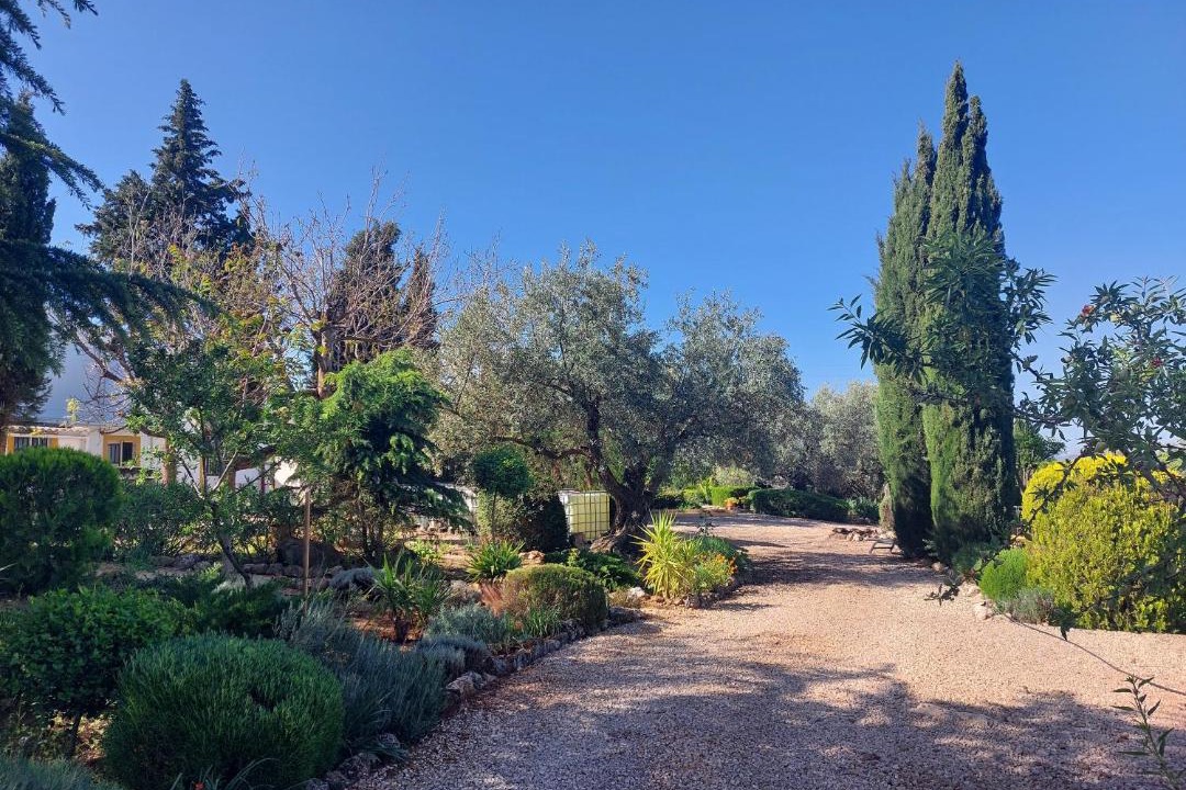 Photo of Others in Villanueva del Trabuco
