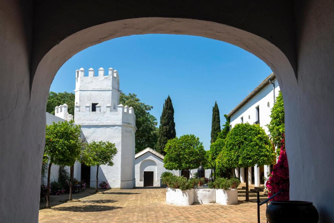 Photo of Others in Torre de la Reina