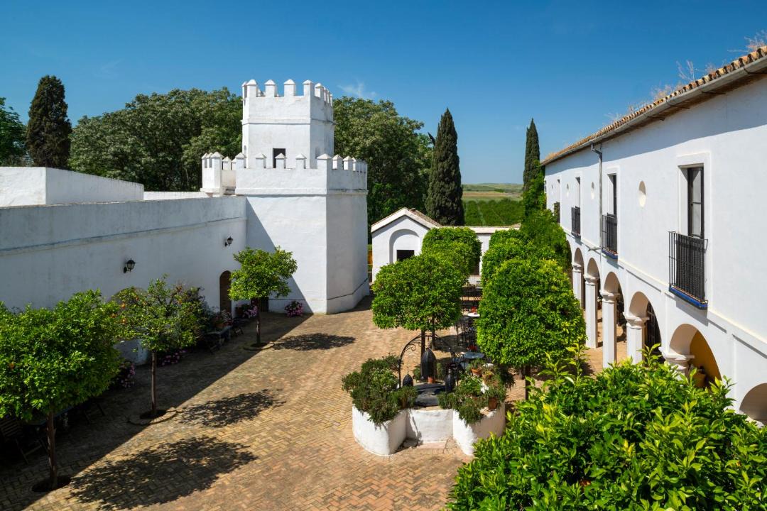 Photo of Others in Torre de la Reina