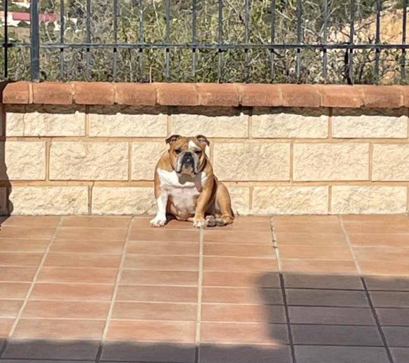 Photo of Others in La Cala del Moral