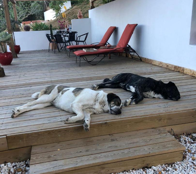 Photo of Others in Valle de Abdalagis