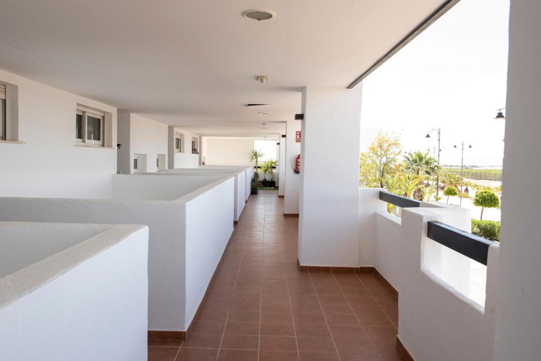 Photo of Others in Torre-Pacheco