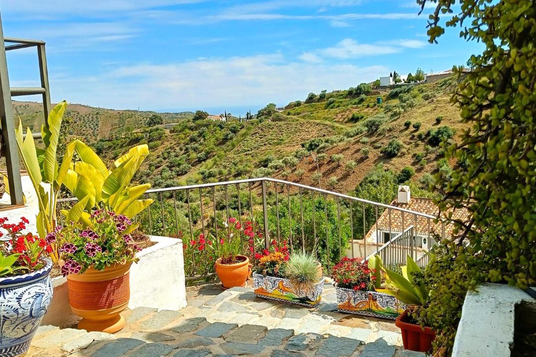 Photo of Others in Moclinejo