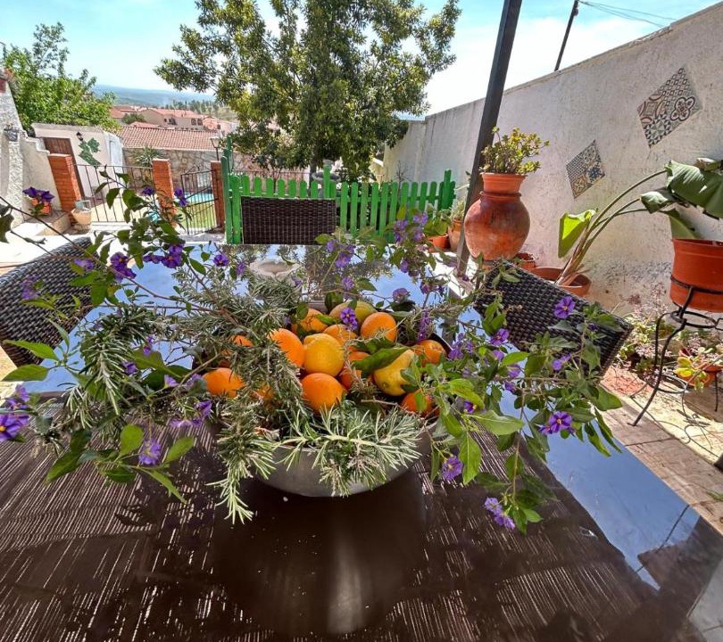 Photo of Patio Balcony in Hornachos