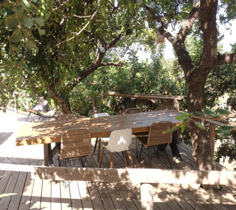 Photo of Others in Canillas de Aceituno