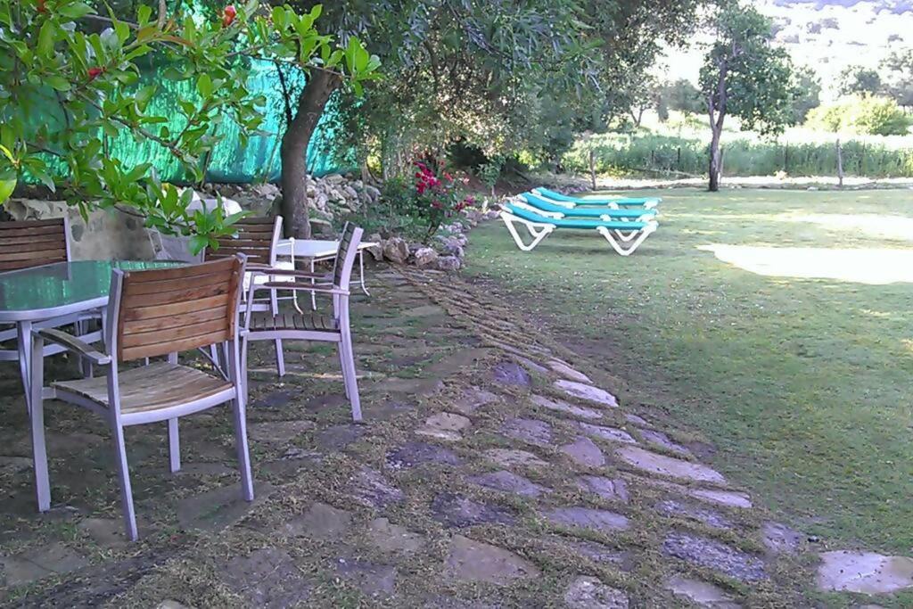 Photo of Others in Grazalema