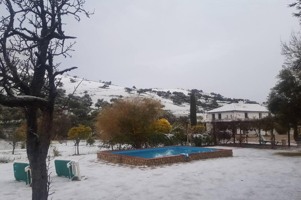 Photo of Others in Grazalema