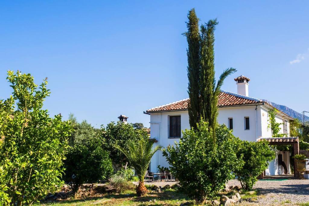 Photo of Others in Grazalema