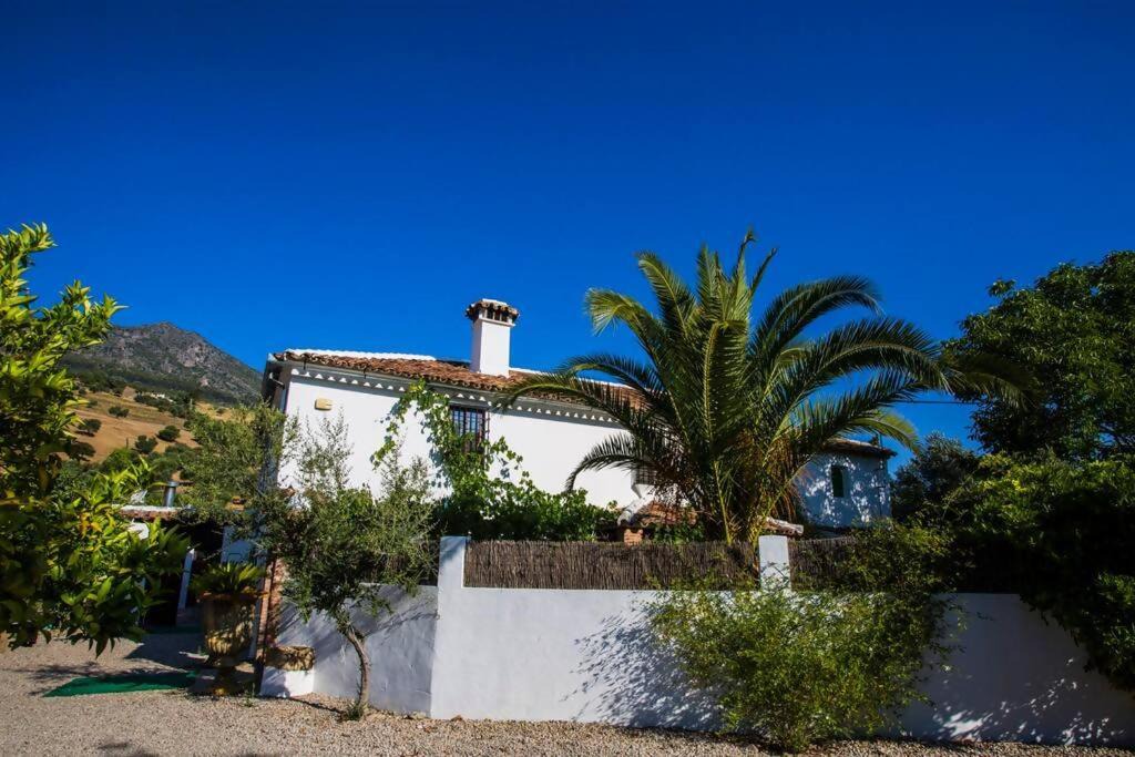 Photo of Others in Grazalema