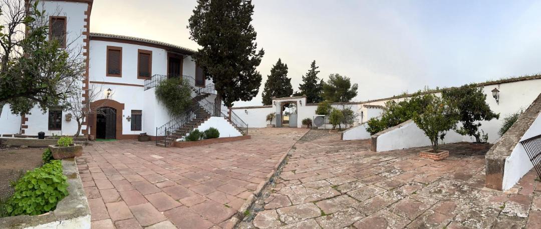 Photo of Others in Montoro