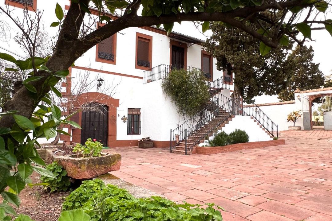 Photo of Others in Montoro