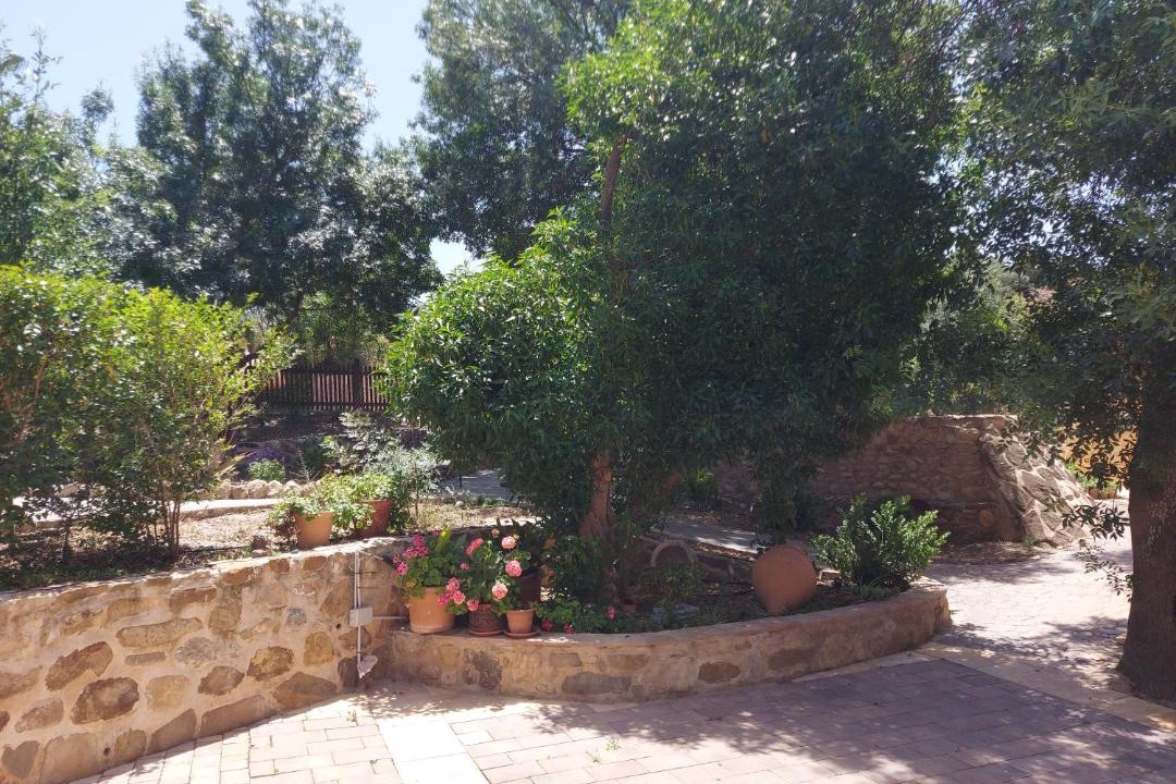 Photo of Others in Antequera