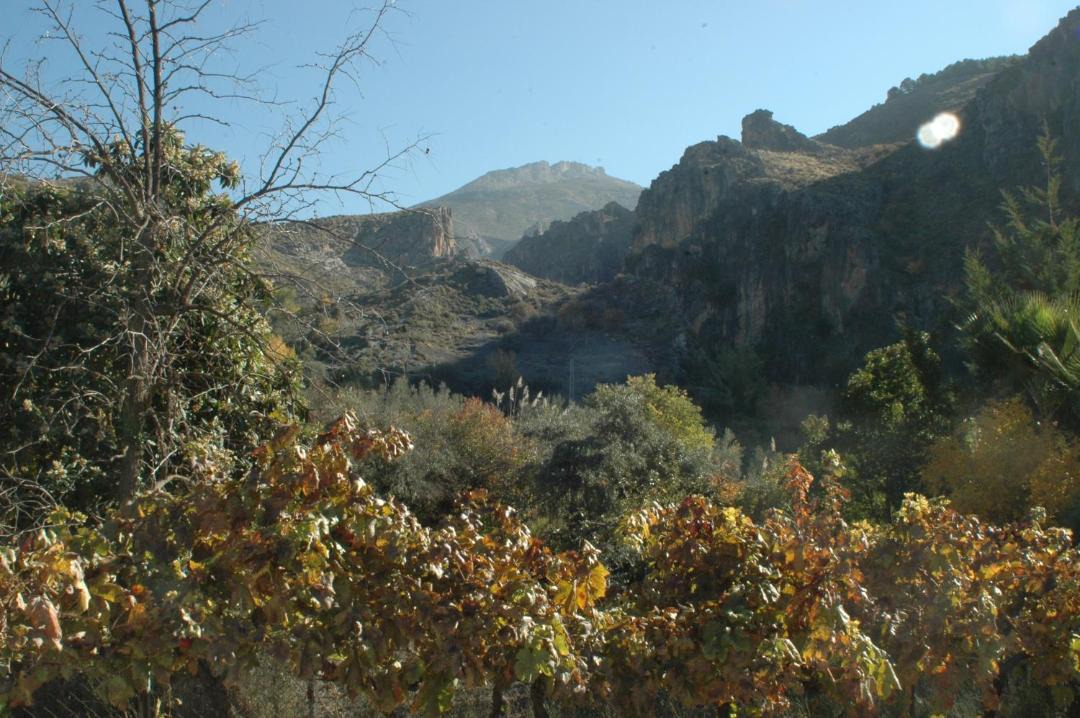Photo of Others in Monachil