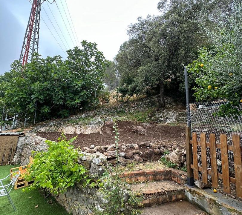 Photo of Others in Grazalema