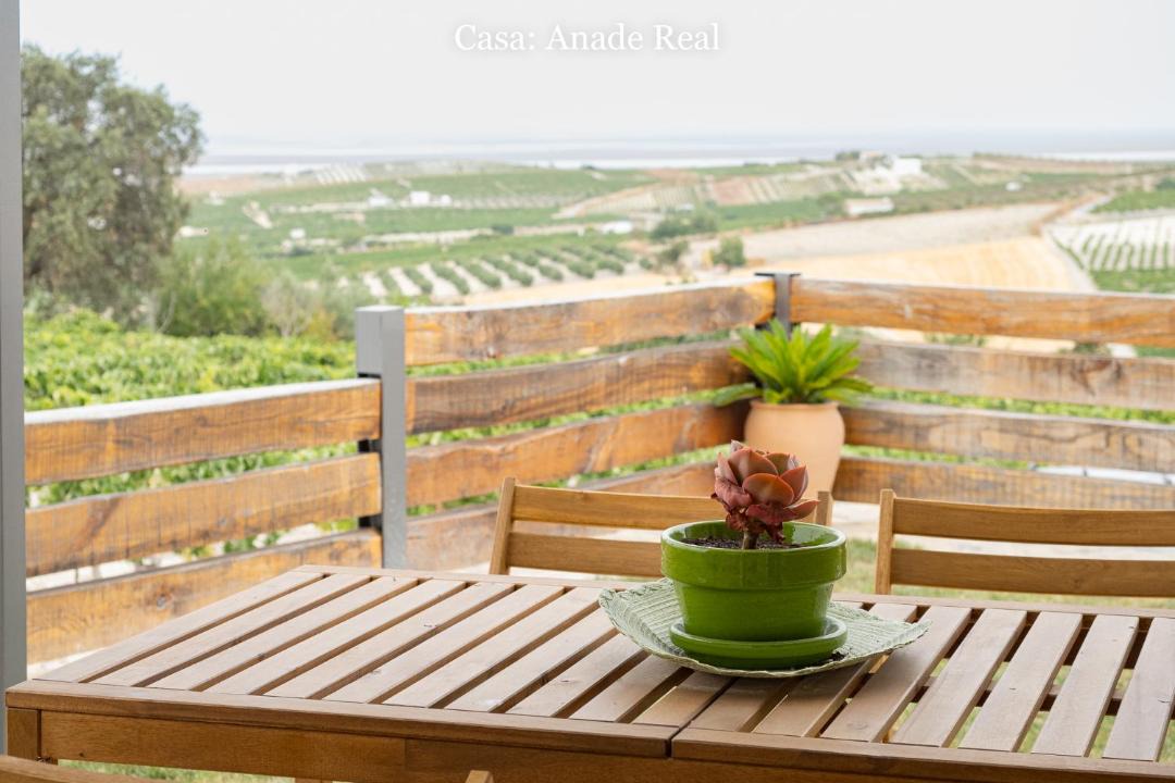 Photo of Patio Balcony in Trebujena