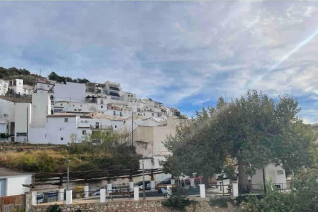 Photo of Others in Canillas de Aceituno