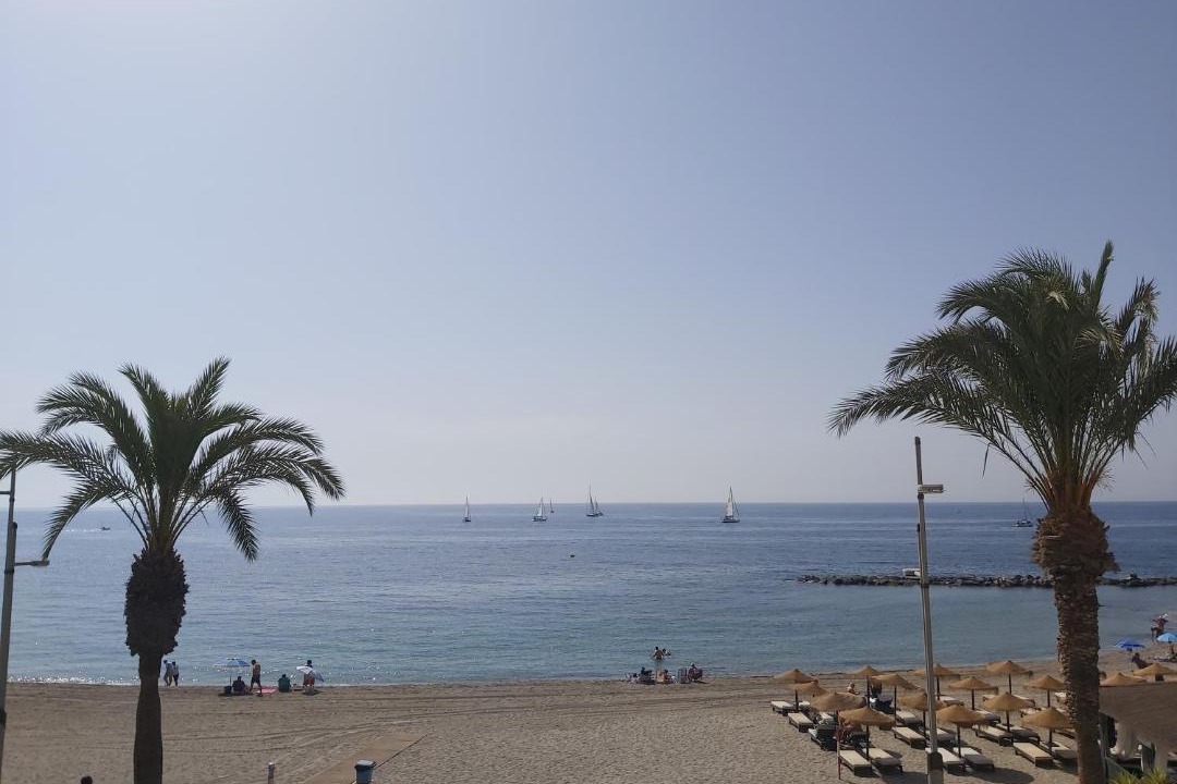 Photo of Others in Aguadulce