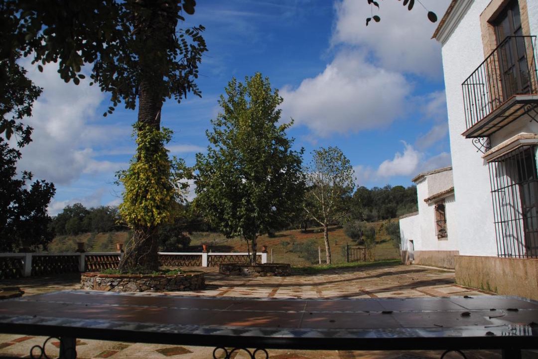 Photo of Others in Constantina