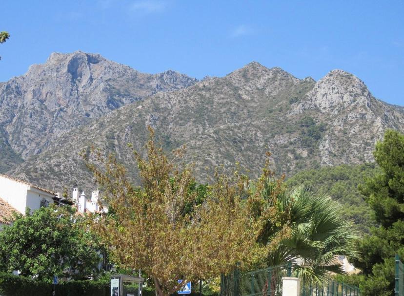 Photo of Others in Marbella
