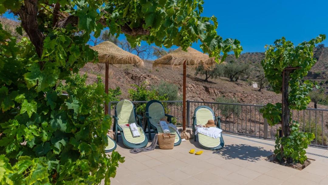 Photo of Patio Balcony in Arenas