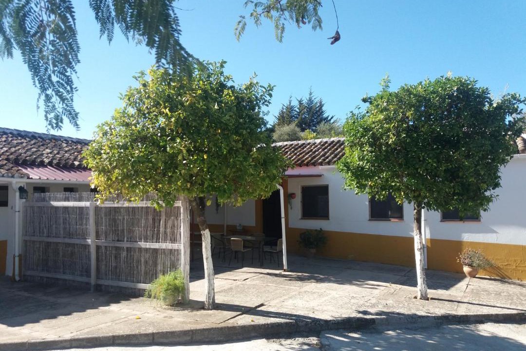 Photo of Others in Prado del Rey