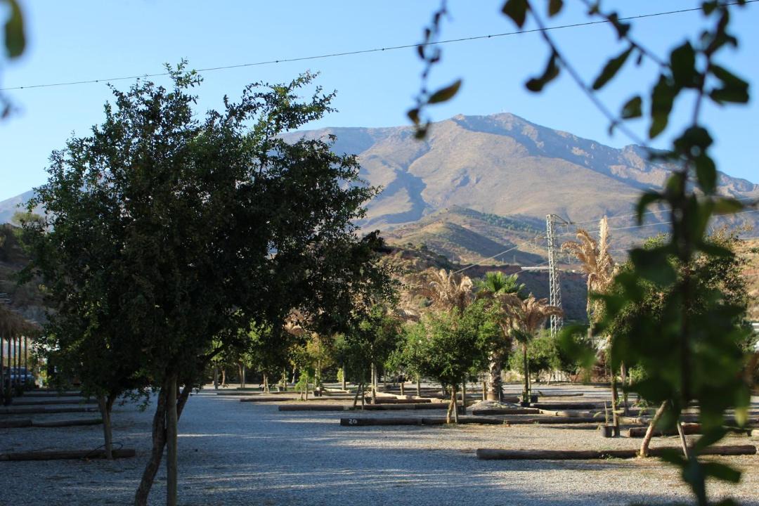 Photo of Outdoor in Gualchos