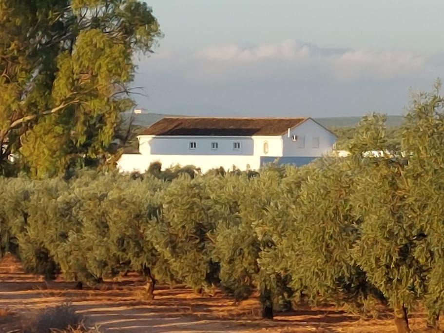Photo of Others in Sierra de Yeguas