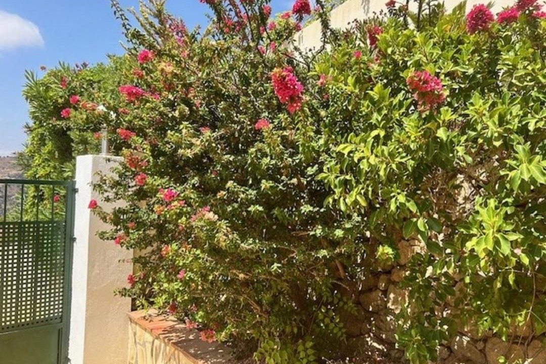 Photo of Others in Torrox