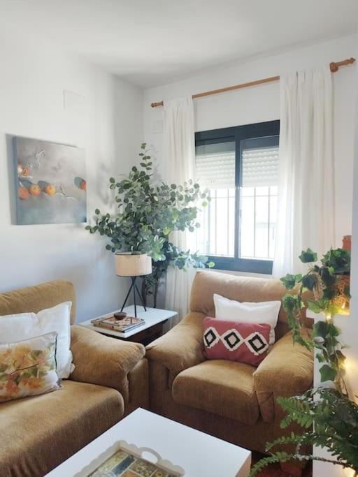 Photo of Livingroom in Los Marines
