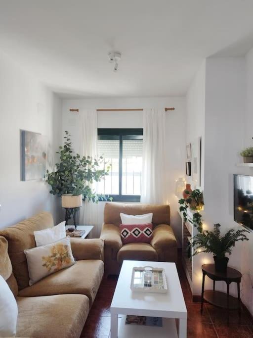 Photo of Livingroom in Los Marines