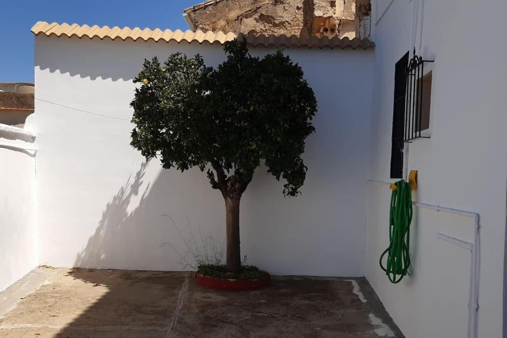 Photo of Others in Santaella