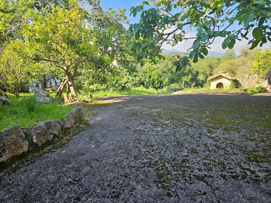 Photo of Others in Sebreno