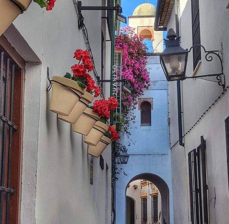 Photo of Others in Cordoba