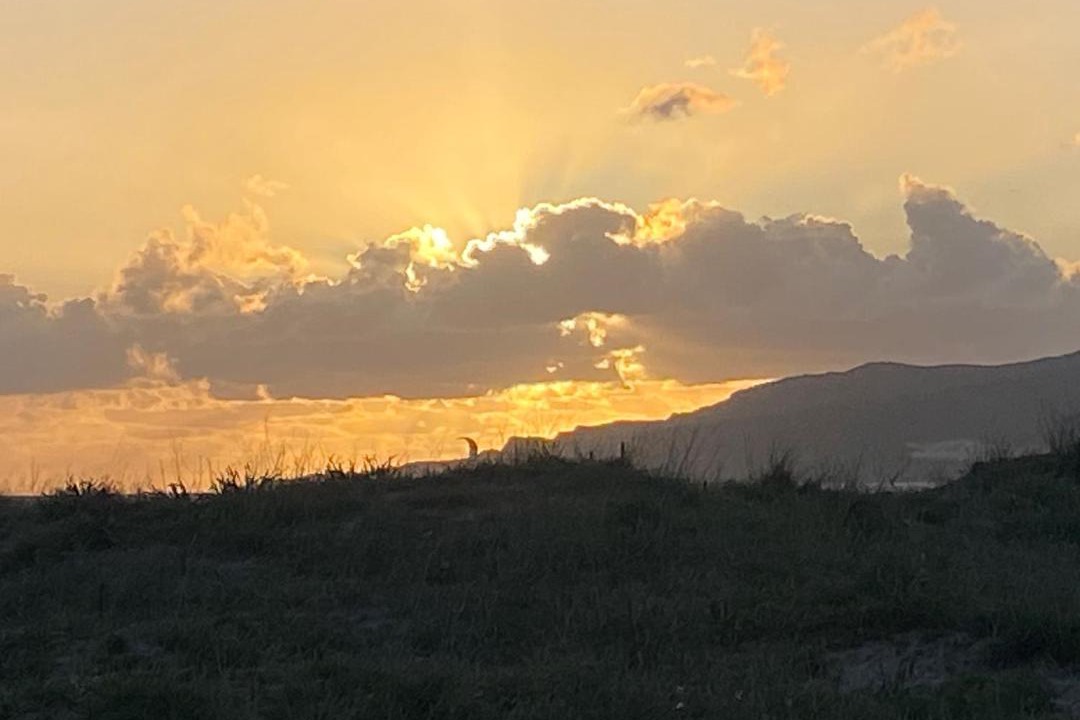 Photo of Others in Tarifa