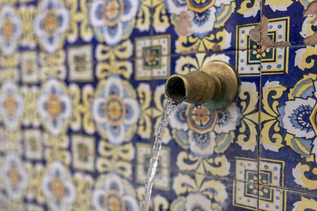 Photo of Others in Canillas de Aceituno