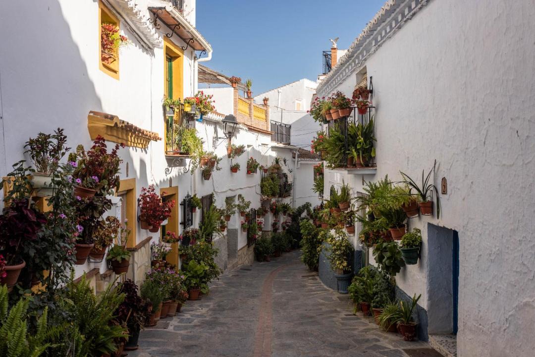 Photo of Others in Canillas de Aceituno