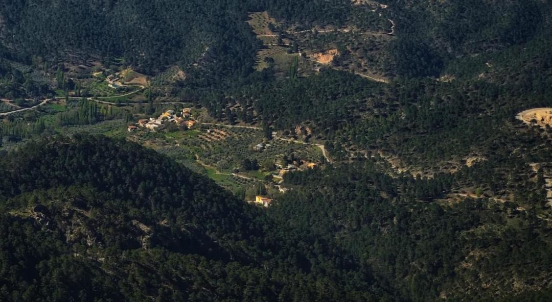Photo of Others in Collado