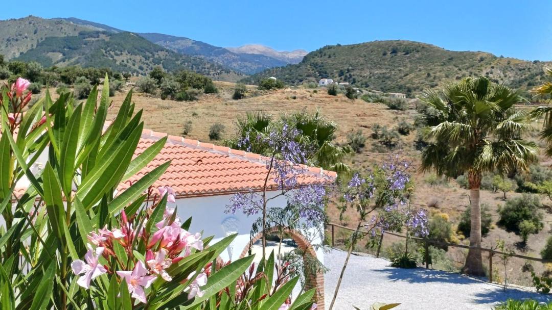 Photo of Others in Sedella