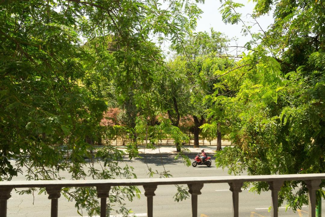 Photo of Others in San Bernardo