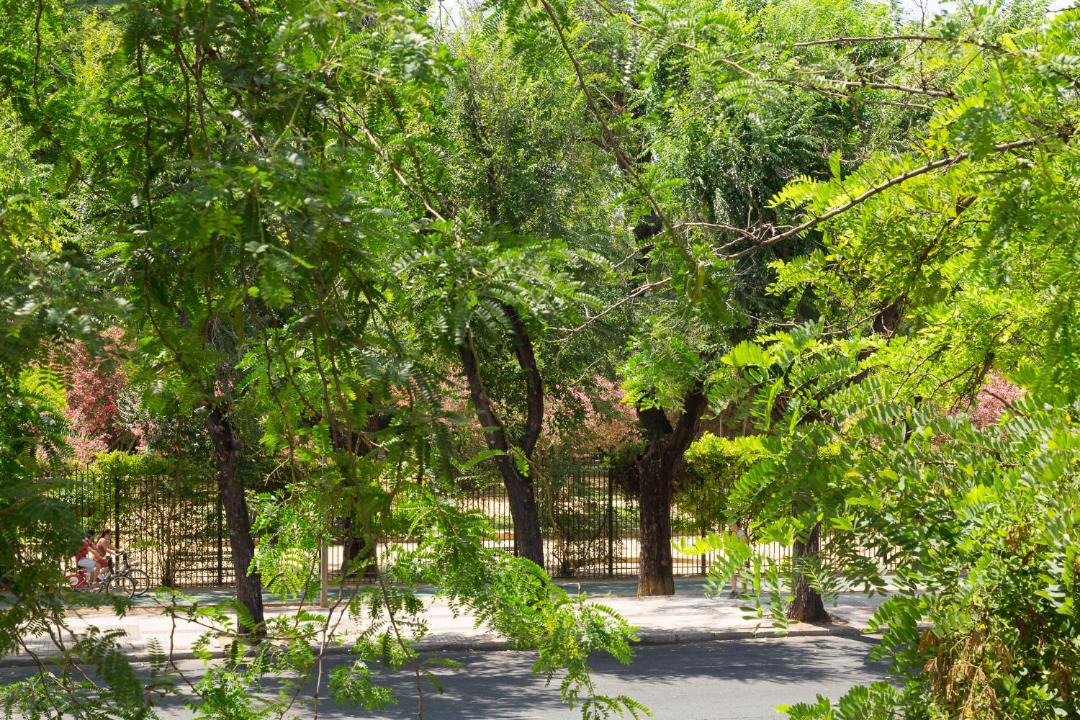 Photo of Others in San Bernardo