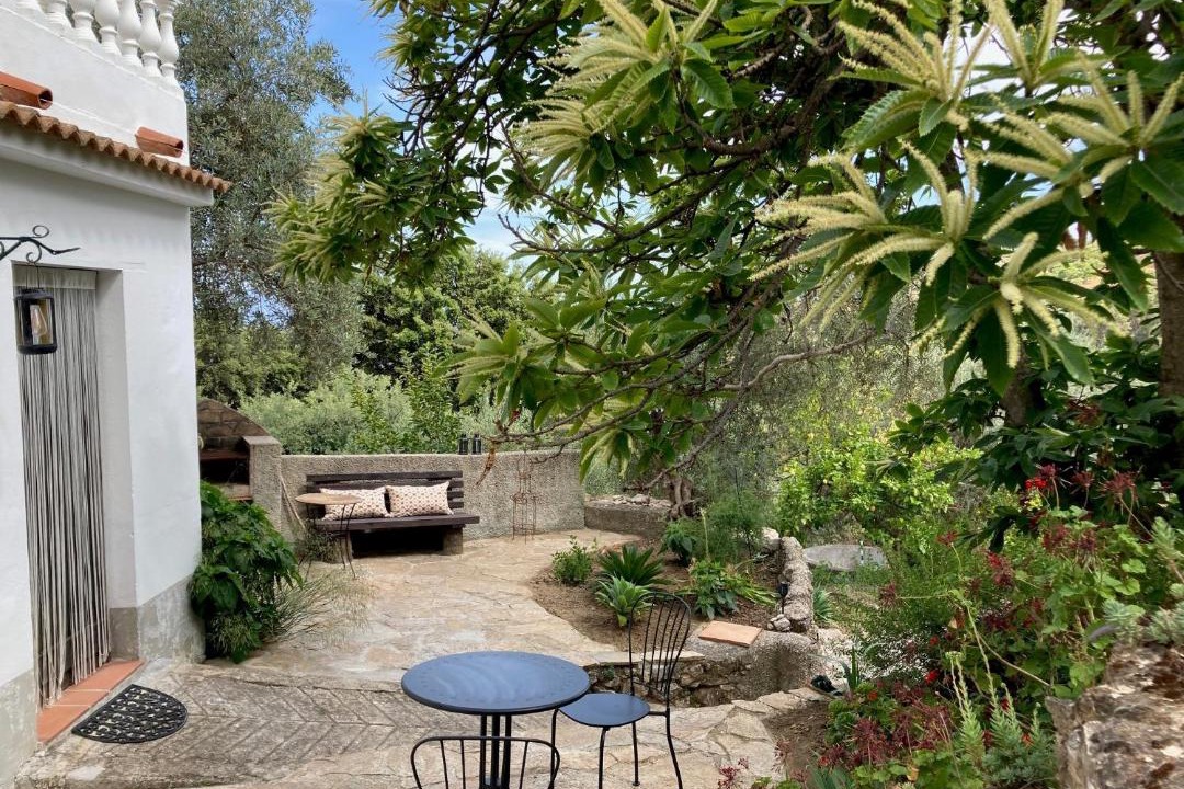 Photo of Others in Yunquera