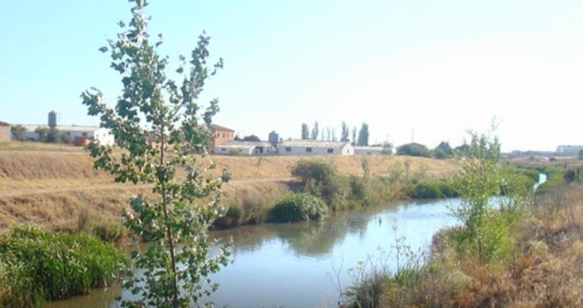 Photo of Others in San Pedro de Latarce