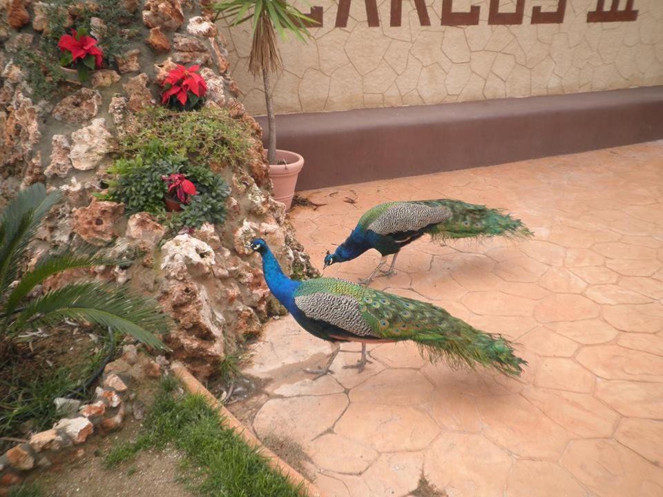 Photo of Others in La Carlota