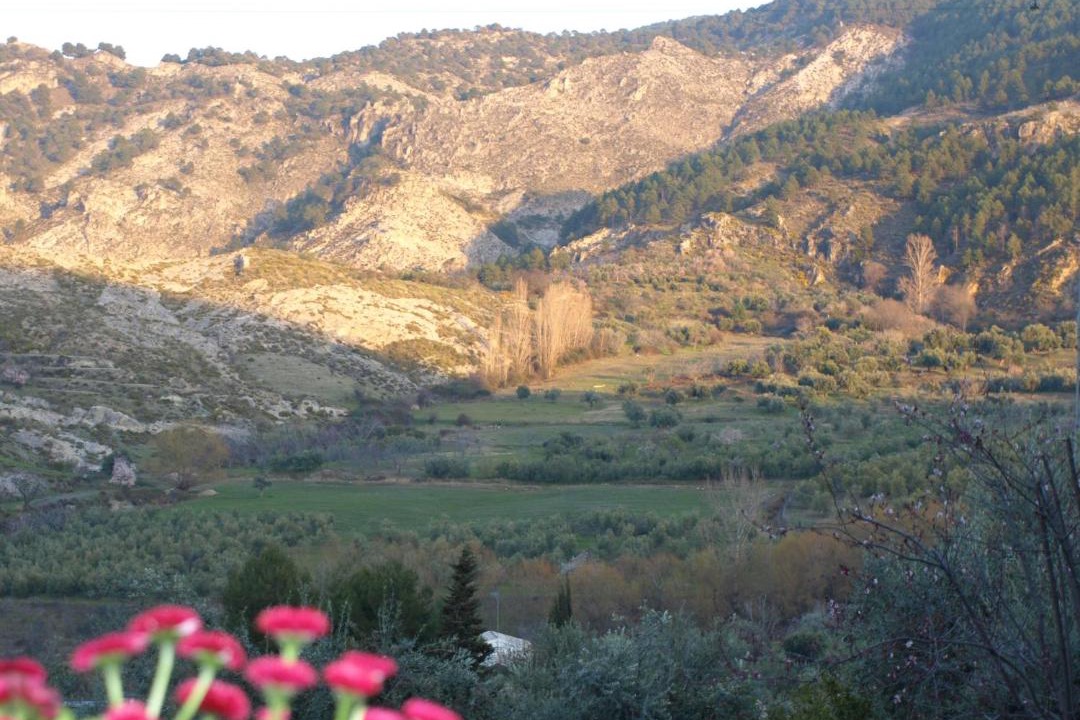 Photo of Others in Monachil