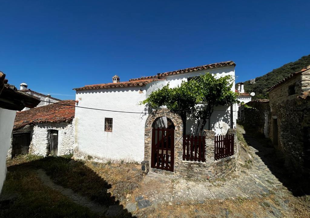 Photo of Others in Alajar