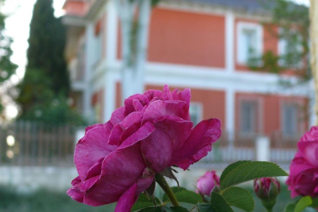 Photo of Others in Quintanas de Gormaz